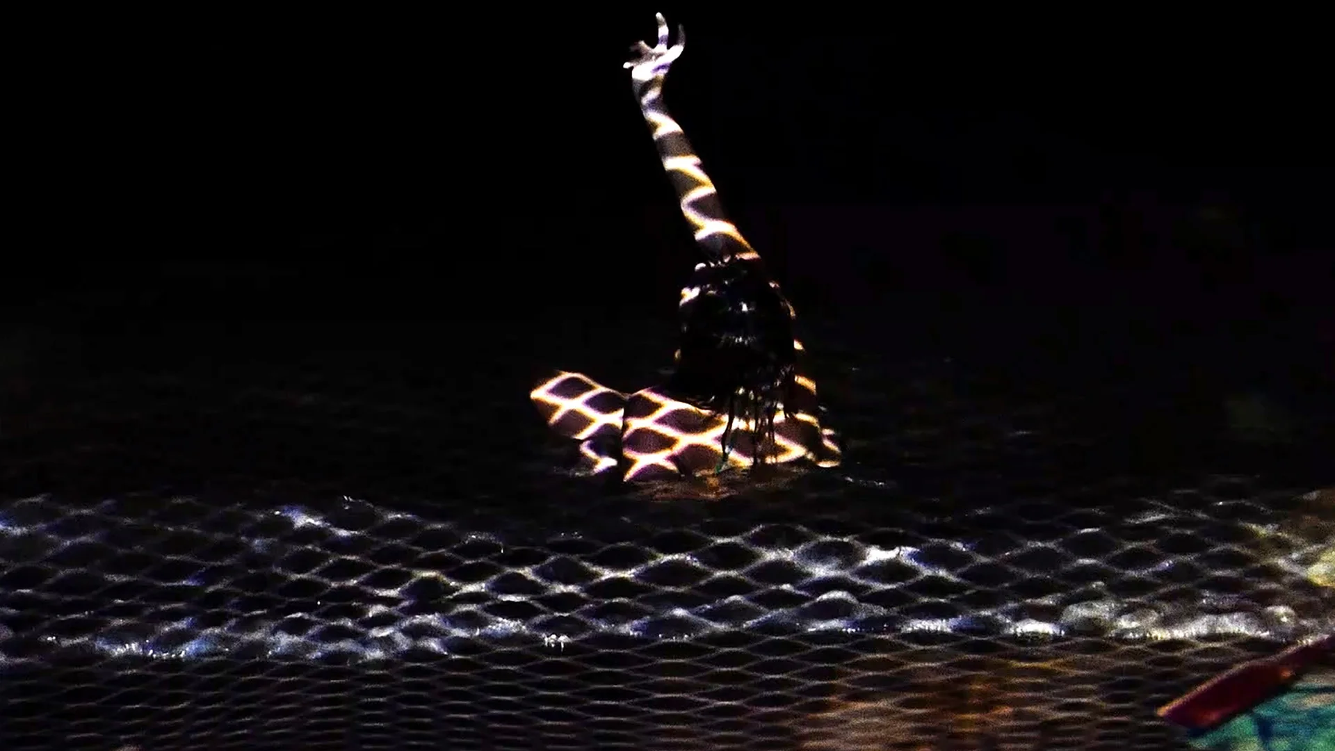 A person is submerged in dark water at night, with their arm reaching upward toward the black sky. A glowing, golden geometric grid pattern is projected across their body and the surrounding ripples of the water, creating a trapped or synthetic appearance.