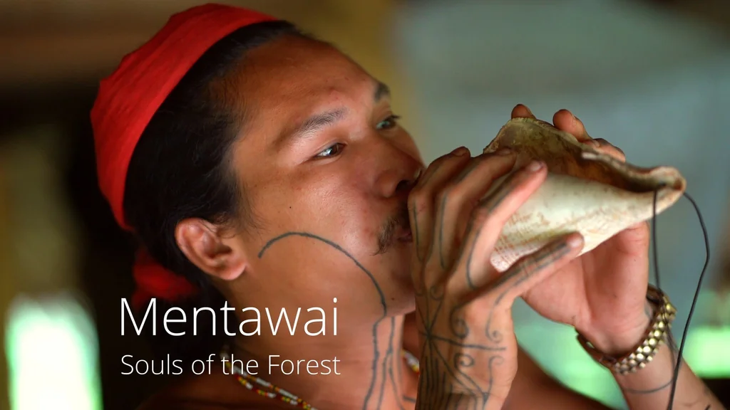Close-up of an Indigenous Mentawai man with traditional facial and hand tattoos wearing a red headband. He is blowing into a large conch shell, holding it with both hands. The film title Mentawai Souls of the Forest is overlaid in white text.