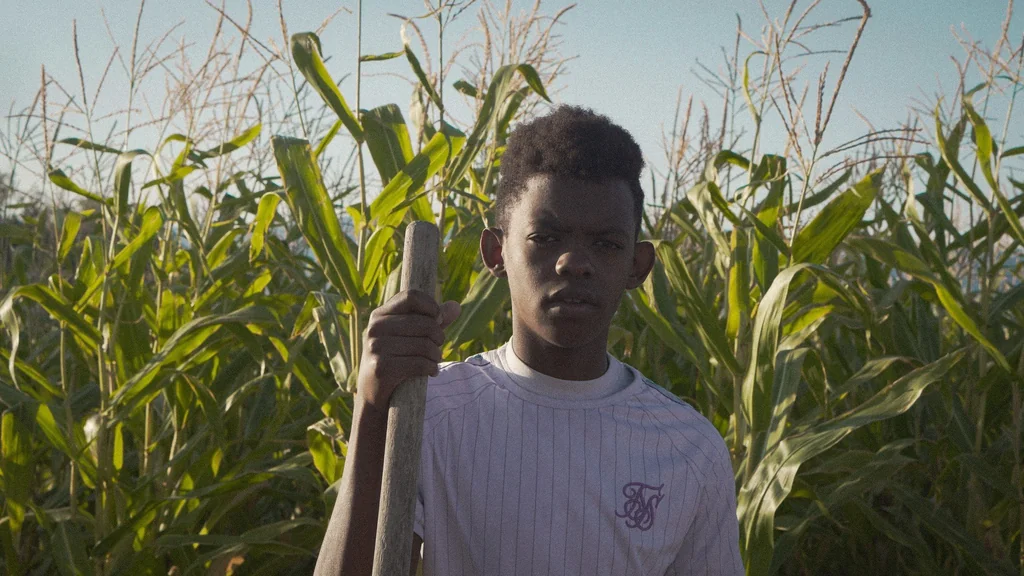 A young Black boy with a serious expression stands in a field of tall corn stalks under a clear sky. He holds a wooden tool handle with one hand, looking directly at the camera. The lighting is natural and bright, highlighting the green and yellow crops.