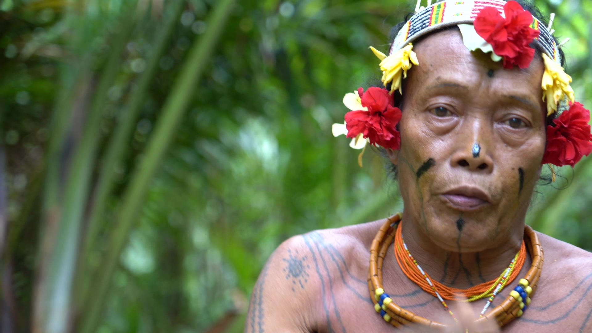 Still from "Mentawai - Souls of the Forest": A Mentawai man, shirtless and tattooed, walks through dense jungle. He wears a beaded headband, necklaces, and carries a large bow and bamboo quiver while smoking a cigarette.