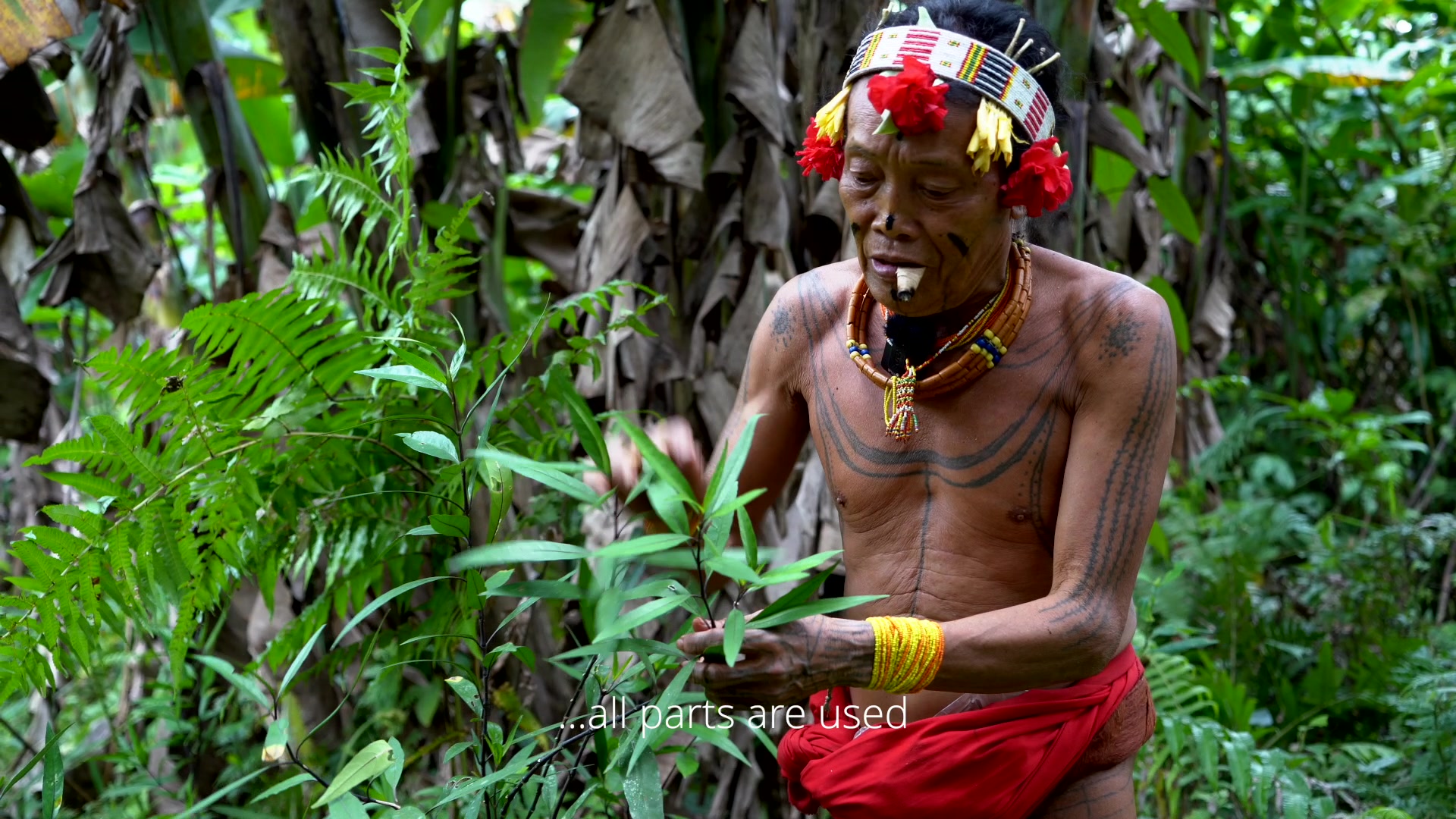Still from "Mentawai - Souls of the Forest": A Mentawai man with a red bandana and tattoos on his neck and hands blows into a large conch shell. The film title is overlaid on the image.