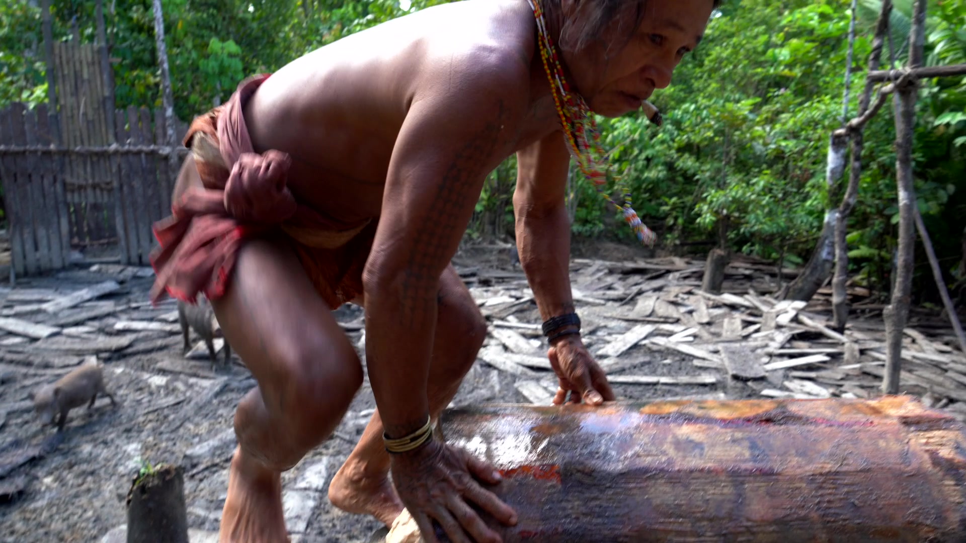 Still from "Mentawai - Souls of the Forest": A Mentawai woman in a leaf skirt holds a fishing net full of small fish in a shallow stream. She has a yellow and orange beaded necklace and a flower in her hair.