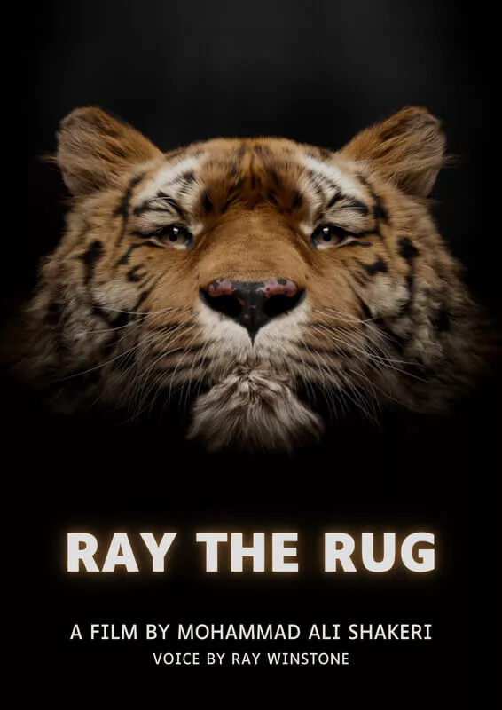 Ray The Rug