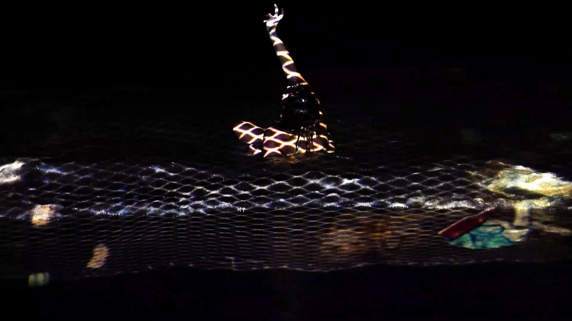 Still from CoNscience: A person, likely the young woman, is seen from above, entangled in a dark net. Her body is illuminated by a bright, geometric, net-like pattern of yellow and white light.