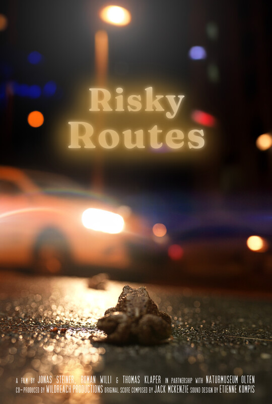 Επικίνδυνες Διαδρομές (Risky Routes)