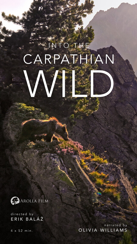 ΣΤΗΝ ΑΓΡΙΑ ΦΥΣΗ ΤΩΝ ΚΑΡΠΑΘΙΩΝ: Φθινόπωρο (INTO THE CARPATHIAN WILD_Autumn)