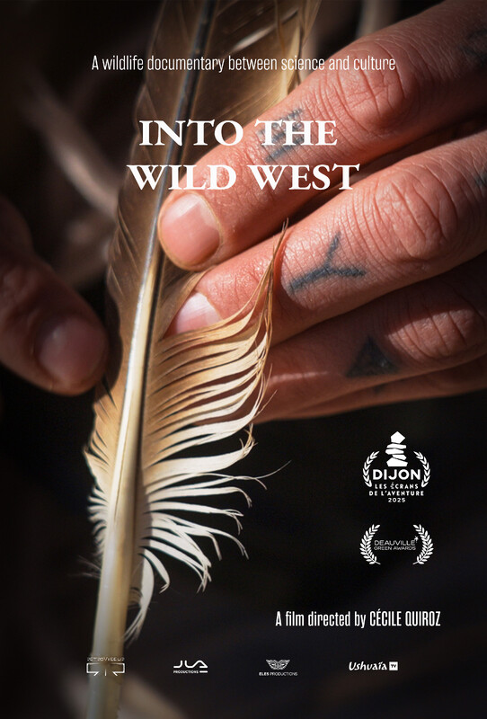Στην Άγρια Φύση (INTO THE WILD)
