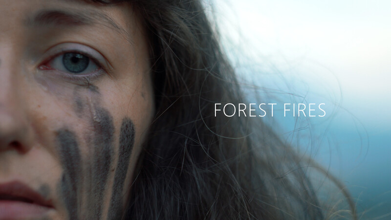 Δασικές Πυρκαγιές (Forest Fires)