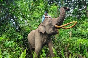 Indonesia says intervention in notorious Sumatran national park part of new ‘model’