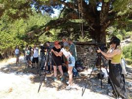 A group of film students sets up professional cameras on tripods during an outdoor workshop under the shade of a large tree.